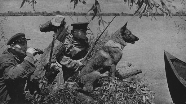 500 lính Liên Xô cùng chó biên phòng tử chiến quân phát xít