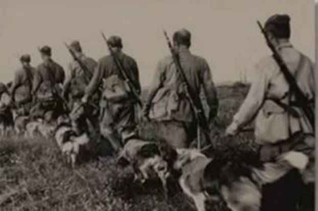 Lính biên phòng Liên Xô và các chú chó nghiệp vụ