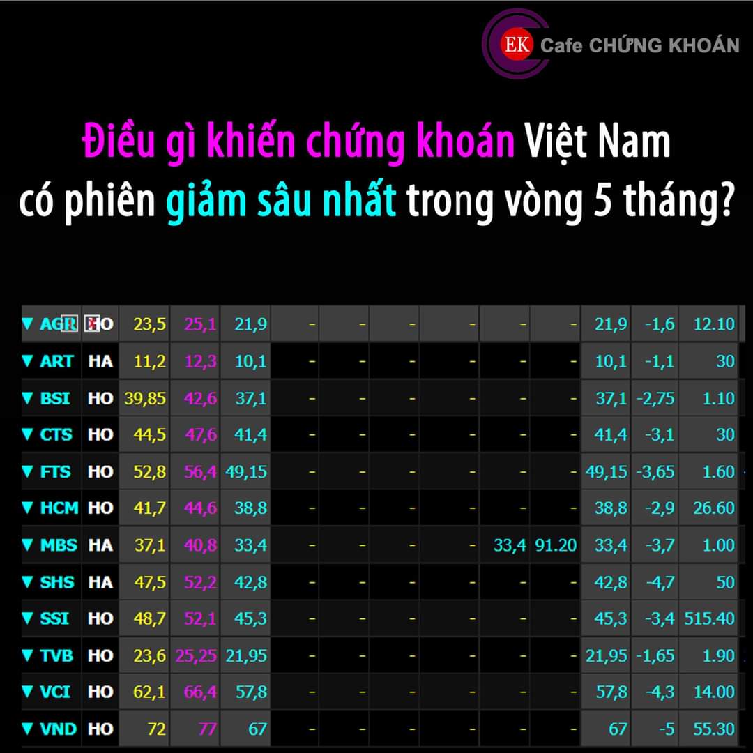 Điều gì khiến chứng khoán Việt Nam có phiên giảm sâu nhất trong vòng 5  tháng?